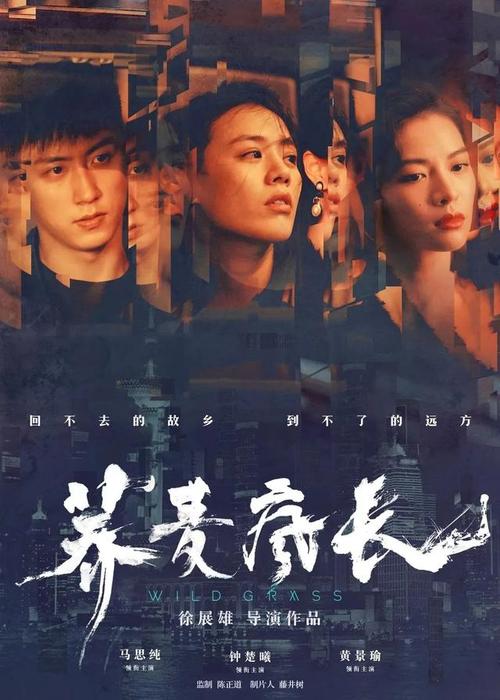 新西兰开放理工学院硕士证书